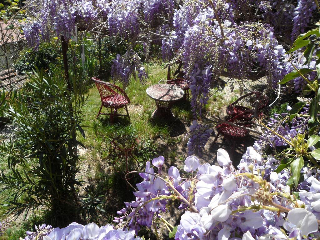 Chambres D'Hotes Casa Sylvana Saint-Dalmas-de-Tende Εξωτερικό φωτογραφία