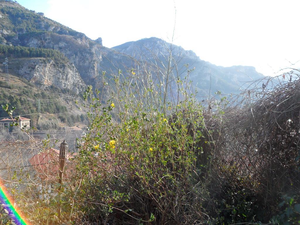 Chambres D'Hotes Casa Sylvana Saint-Dalmas-de-Tende Εξωτερικό φωτογραφία